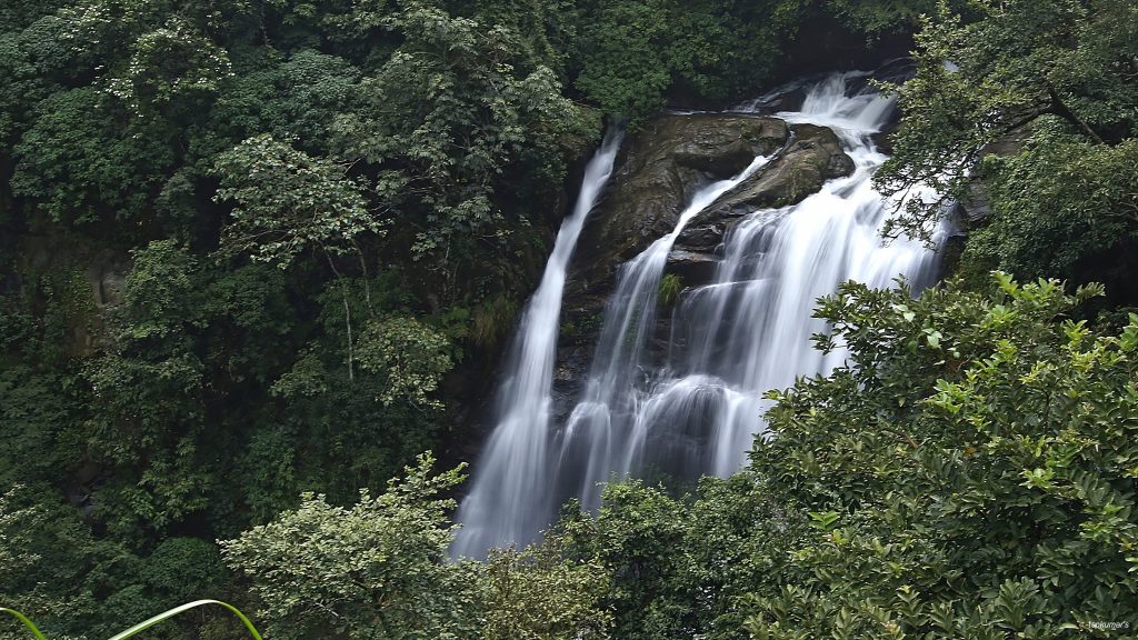 Alekhan falls near Kottigehara near Mudigere in Chikmagalur
