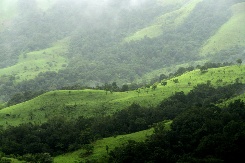 Kudremukh National Park