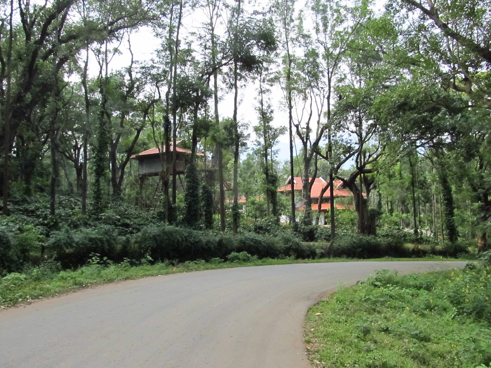 Chikmagalur