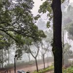 Experience Rainy Season in Chikmagalur