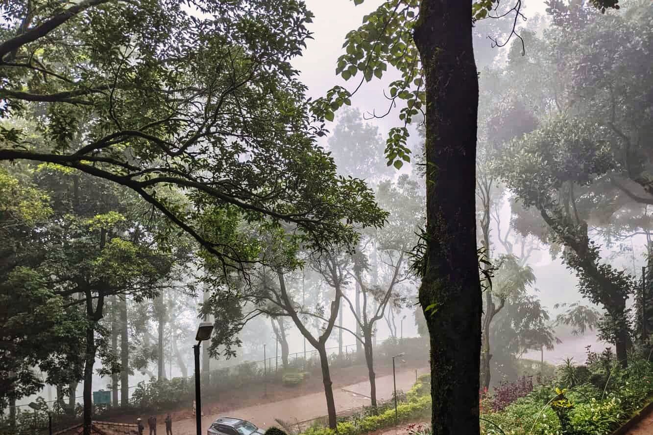 Experience Rainy Season in Chikmagalur