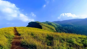 Z Point Kemmanagundi, Chikmagalur