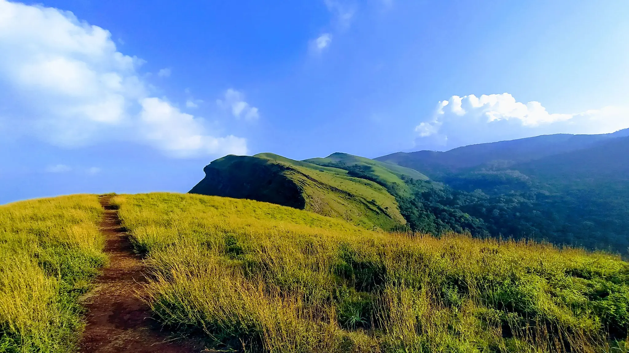 Z Point Kemmanagundi, Chikmagalur